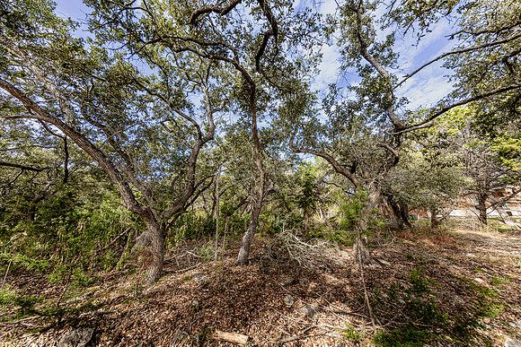 2472RiverWay-241026-1012-0122