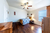 25622Sophora78261-251028-1000-28197-HDR