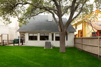 4206BirchTree78247-251117-1059-29143AI