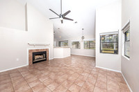 4206BirchTree78247-251117-1122-29182