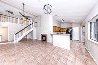 4206BirchTree78247-251117-1136-29208