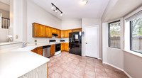 4206BirchTree78247-251117-1139-29215