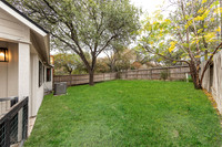 4206BirchTree78247-251117-1057-29134-Edit