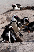 Capetown, South Africa