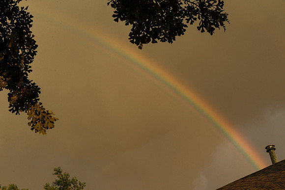 SCH-150612-2040-9917
