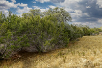 116UpperRiverPl-260122-1225-20837-Edit