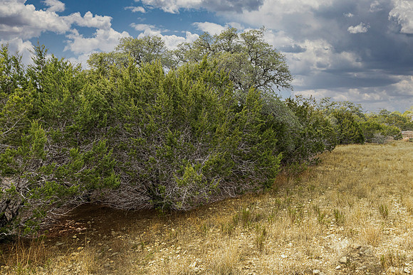 116UpperRiverPl-260122-1225-20837-Edit