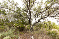 116UpperRiverPl-260122-1235-20848