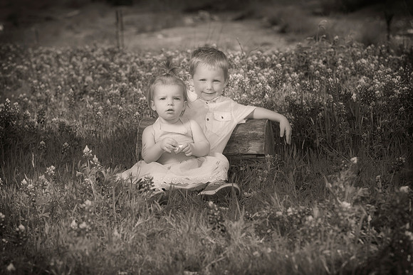 Stripling-200326-1601-7631-Edit-Edit-2