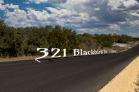 321BlackBird-260219-1525--4
