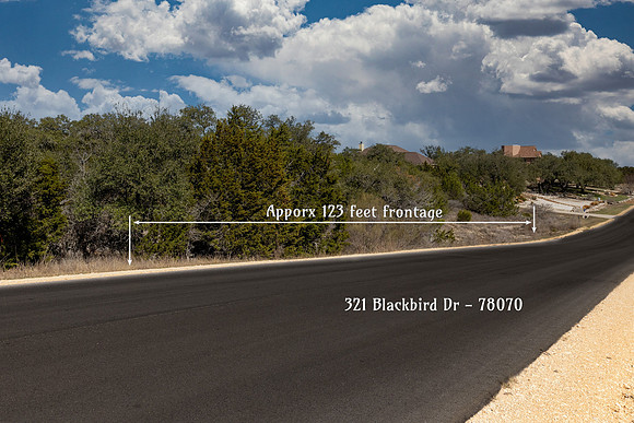 321BlackBird-260219-1525--6