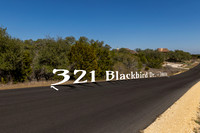 321BlackBird-260219-1525-