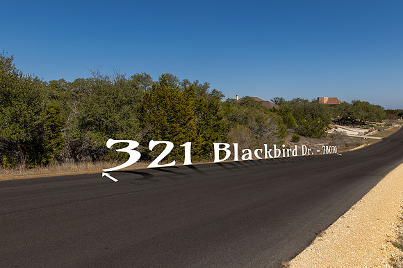 321BlackBird-260219-1525-