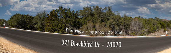 321BlackBird-260219-1527--2