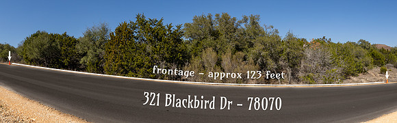 321BlackBird-260219-1527-