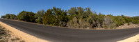 321BlackBird-260219-1529-
