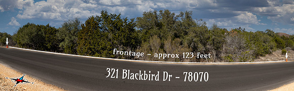 321BlackBird-260219-1527--2-Edit