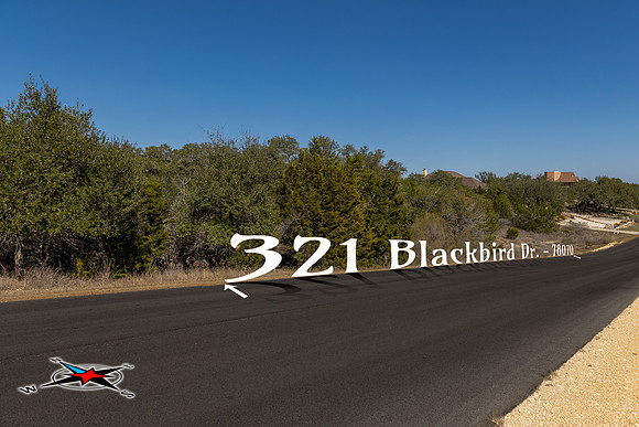 321BlackBird-260219-1525--2