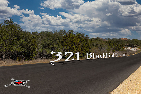 321BlackBird-260219-1525--4