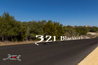 321BlackBird-260219-1525-