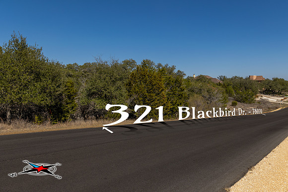 321BlackBird-260219-1525-