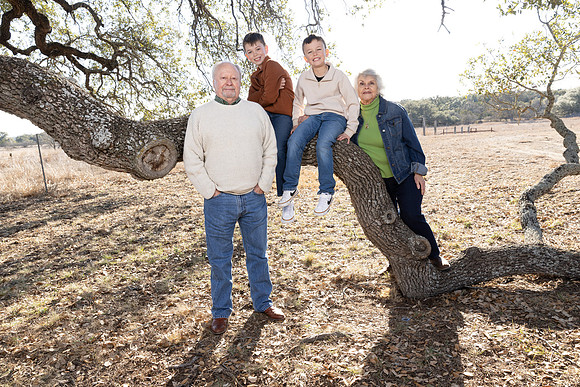 Holk-260201-1703-22487