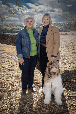 Holk-260201-1708-22507-Edit-Edit-Edit