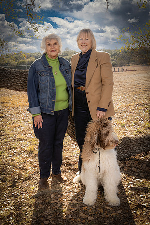 Holk-260201-1708-22510-Edit