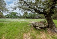 5742SpringBranchRd78070-260508-1307-