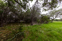 5742SpringBranchRd78070-260508-1308-28233