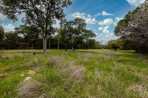 5742SpringBranchRd78070-260508-1314-