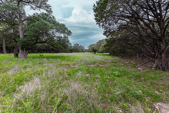 5742SpringBranchRd78070-260508-1317-