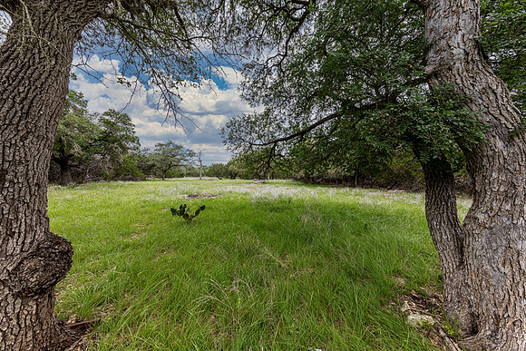 5742SpringBranchRd78070-260508-1318-