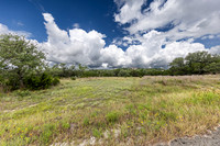 563AbodarTrail-260604-1153-29002