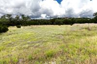 563AbodarTrail-260604-1153-29004