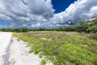 563AbodarTrail-260604-1158-29020