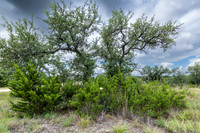 563AbodarTrail-260604-1200-29025