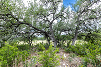 563AbodarTrail-260604-1201-29028