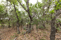563AbodarTrail-260604-1213-29056