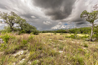 563AbodarTrail-260604-1217-29065