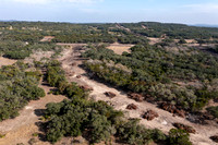 BelleOak-211230-1437-0892