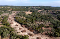BelleOak-211230-1438-0893