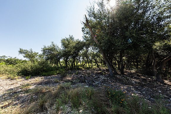 34711DeeannaValleyTrail-260802-1041-20402