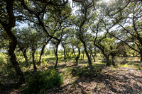 34711DeeannaValleyTrail-260802-1042-20409