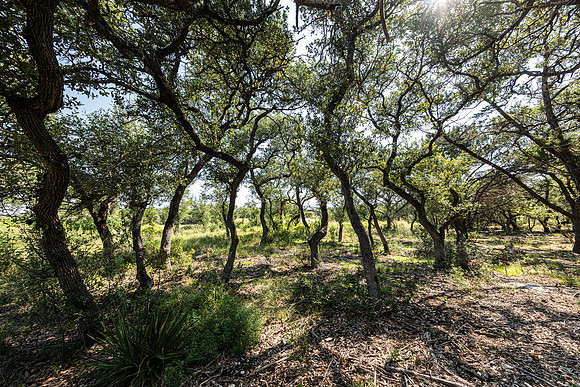 34711DeeannaValleyTrail-260802-1042-20409