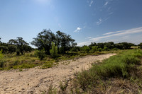 34711DeeannaValleyTrail-260802-1057-20417