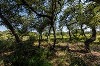 34711DeeannaValleyTrail-260802-1042-20412