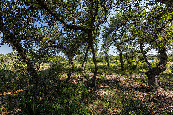 34711DeeannaValleyTrail-260802-1042-20412