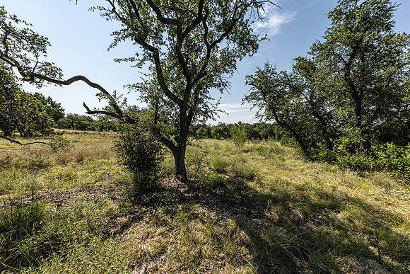 34711DeeannaValleyTrail-260802-1059-20421