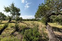 34711DeeannaValleyTrail-260802-1100-20424